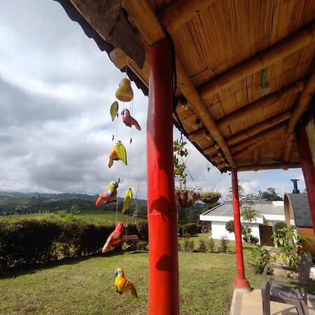 Cabana Eje Cafetero, Sauna Terapeutico Guest House Filandia Exterior photo